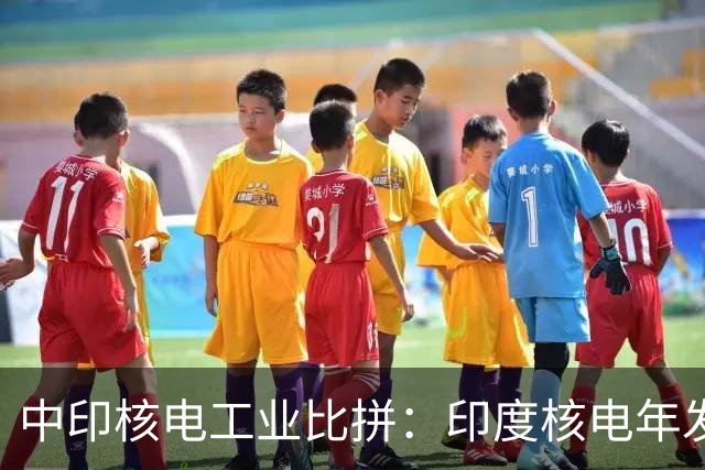 中印核电工业比拼：印度核电年发电量560亿度，中国是多少？